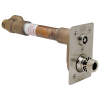 マルーン Z1321-CXL - Lead-Free Wall Hydrant