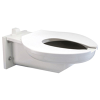 bariatric toilet