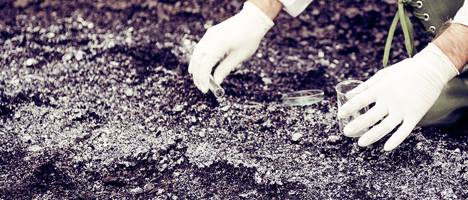 Protection de L’Environnement