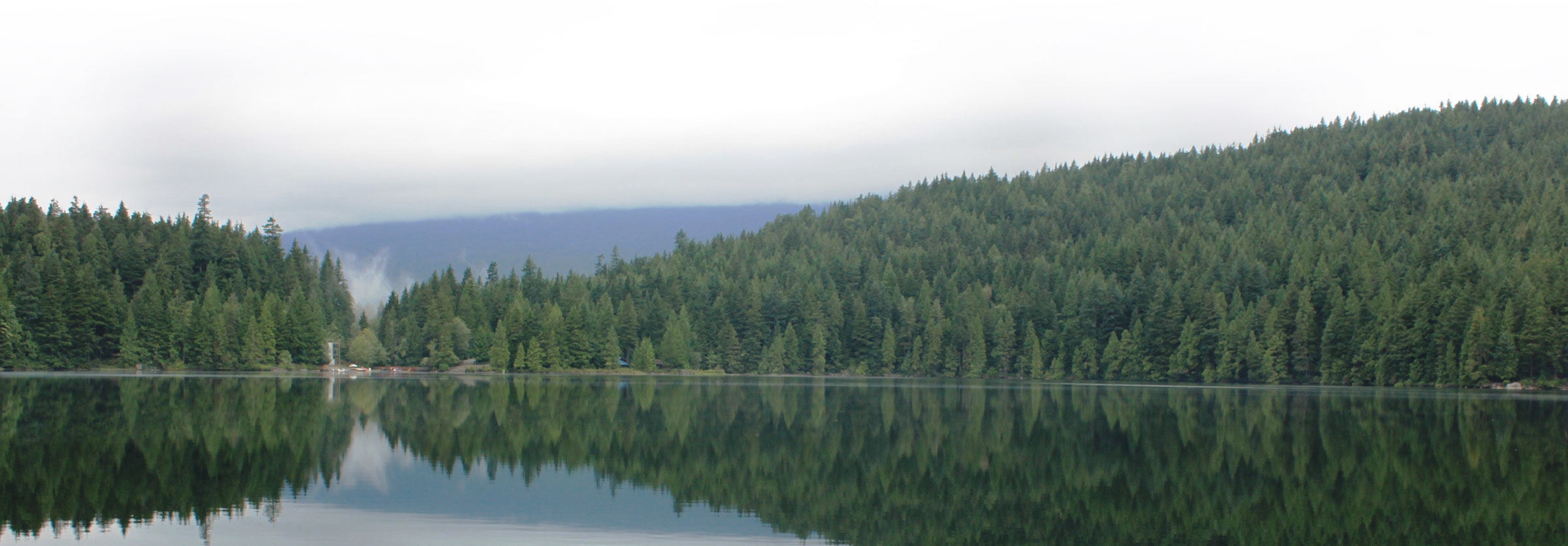 Lake with Trees