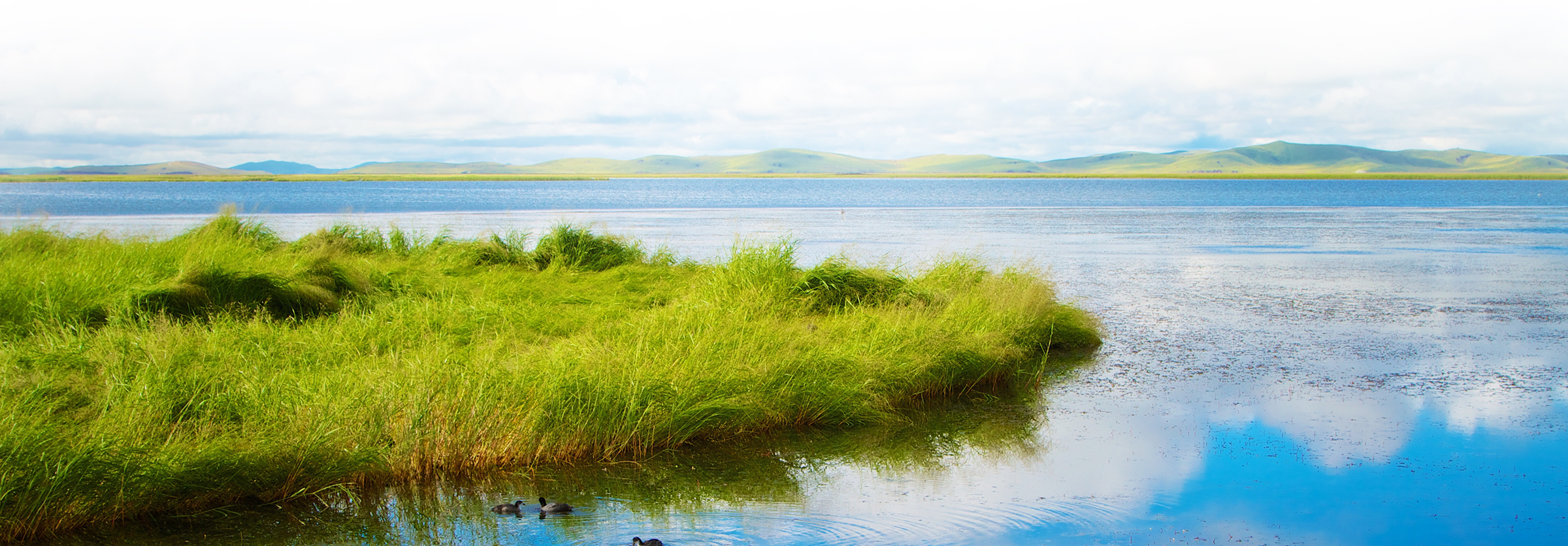 Lake with Trees