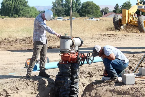 Contractors & Testers